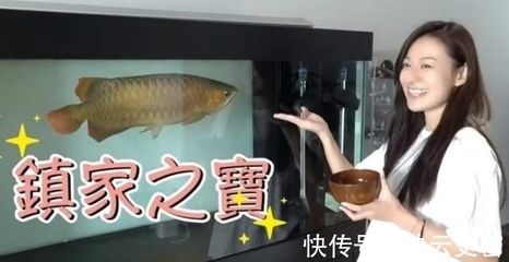 龍魚水溫：如何飼養(yǎng)龍魚