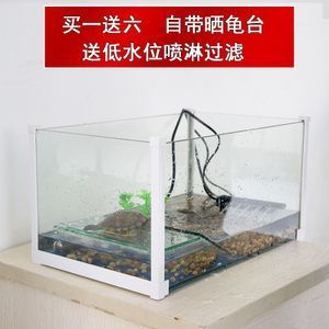 紅龍魚魚缸水位多少比較好釣：紅龍魚的水位控制