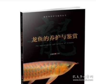 龍魚的養(yǎng)殖論文3000字：龍魚養(yǎng)殖技術(shù)論文