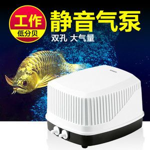 龍魚(yú)缸氧氣泵用不用一直開(kāi)著：魚(yú)缸氧氣泵需要24小時(shí)開(kāi)著嗎