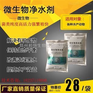 龍魚鱗片疾病圖例及防治：龍魚鱗片疾病如何防治