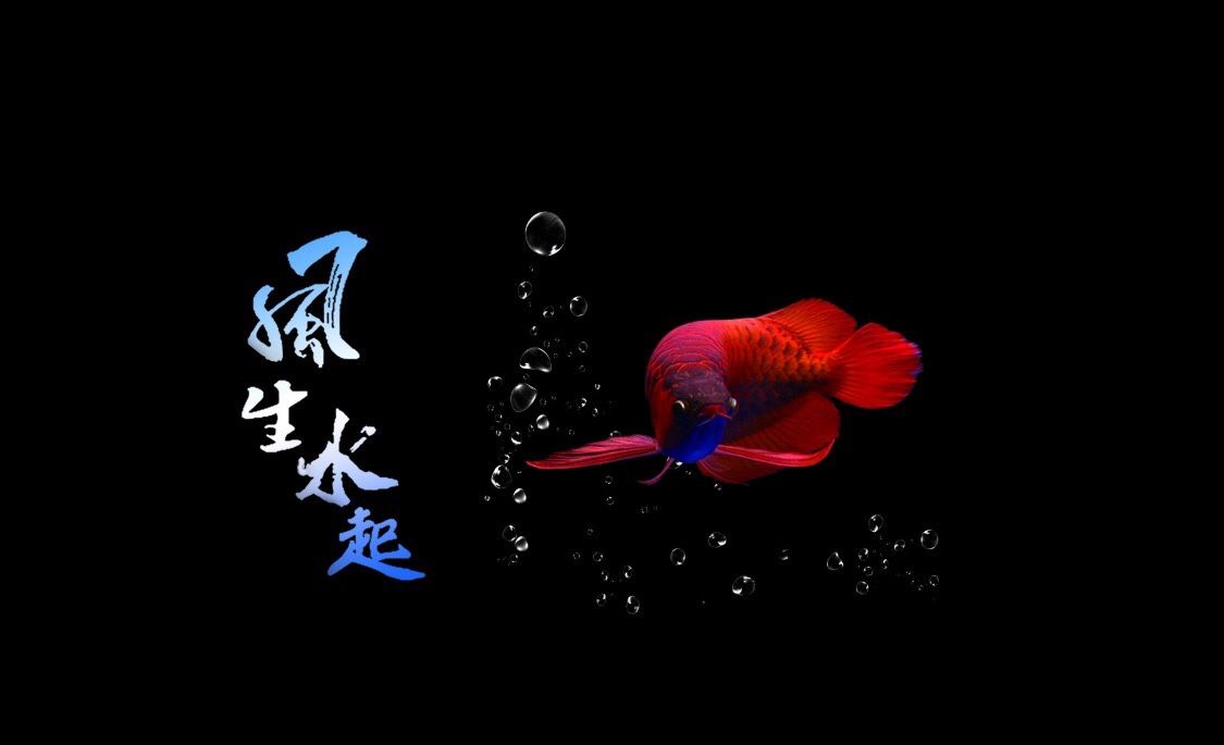 龍魚(yú)缸背景圖用什么款式：如何選擇龍魚(yú)缸背景圖 龍魚(yú)百科 第1張