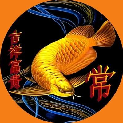 可以跟金龍魚(yú)混養(yǎng)的魚(yú)有哪些：金龍魚(yú)可以和什么魚(yú)混養(yǎng)