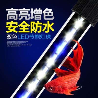 全國水族館企業(yè)名錄批發(fā)：全國各地的水族館企業(yè)名錄 龍魚百科 第1張