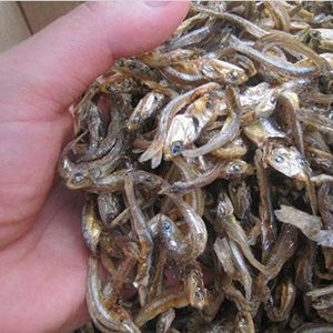 海水魚（海水魚批發(fā)）批發(fā)：海水魚批發(fā)和貨源基地信息可以從多個(gè)角度進(jìn)行闡述