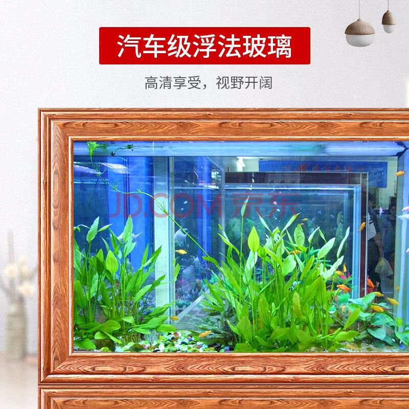 養(yǎng)金龍魚缸背景什么顏色好