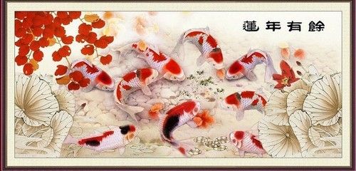 龍魚(yú)批發(fā)批發(fā)：在中國(guó)，龍魚(yú)批發(fā)可以通過(guò)多種途徑進(jìn)行多種途徑進(jìn)行 龍魚(yú)百科 第4張