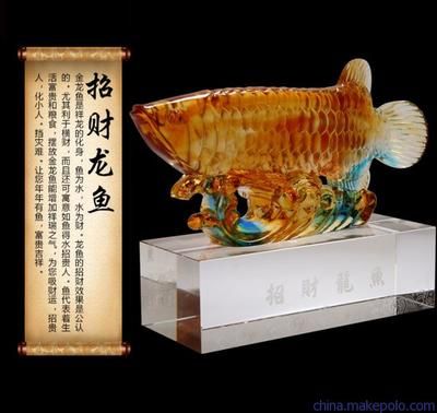 什么叫金龍魚過(guò)背：過(guò)背金龍魚的選擇技巧