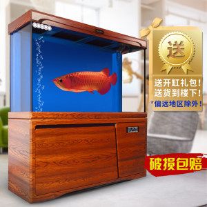 三年的紅龍魚還會長大嗎：如何飼養(yǎng)紅龍魚