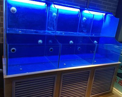 水族館加盟找祥龍魚場多少錢：加盟祥龍魚場水族館加盟費(fèi)用