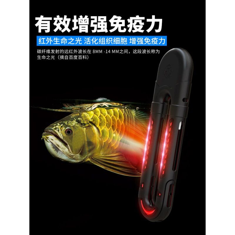 老魚匠批發(fā)：老漁匠觀賞魚店信息豐鎮(zhèn)市老漁匠觀賞魚店信息豐鎮(zhèn)市老漁匠觀賞魚店 龍魚百科 第4張