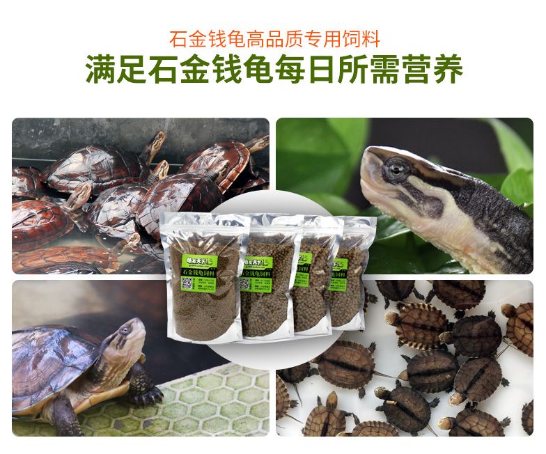 觀賞龜鱉飼料批發(fā)：觀賞龜/鱉飼料批發(fā)途徑介紹 龍魚(yú)百科 第4張