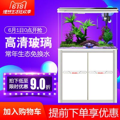 養(yǎng)龍魚(yú)買什么品牌的魚(yú)缸：養(yǎng)龍魚(yú)選擇什么品牌好 龍魚(yú)百科 第2張