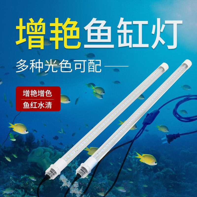 龍魚用什么燈管好：如何選擇龍魚燈管