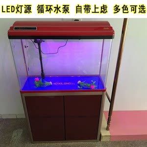 鯊魚能不能和金龍魚混養(yǎng)一起：觀賞鯊魚和哪些魚可以混養(yǎng)？