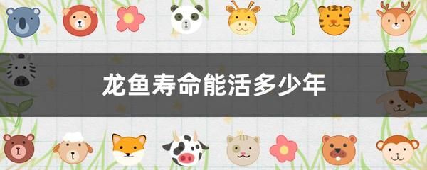 怎么樣才能養(yǎng)好龍魚苗：養(yǎng)好龍魚苗需要注意以下幾個(gè)方面的含量以遭遇不策