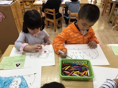 小龍魚幼兒園怎么樣：上海小龍魚文苑幼兒園在上海有幾個分園 龍魚百科 第2張