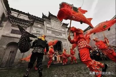 薩伊藍和龍魚混養(yǎng)：薩伊藍魚和龍魚可以混養(yǎng)嗎 龍魚百科 第1張