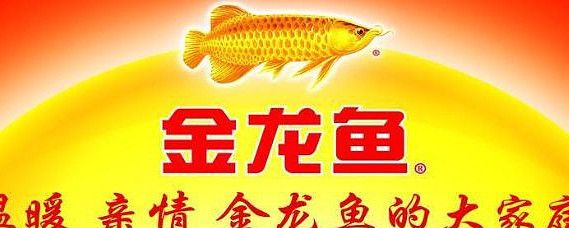 泰國金龍魚多少錢一條：泰國金龍魚多少錢一條泰國金龍魚多少錢一條