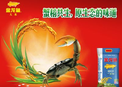 原生態(tài)金龍魚 龍魚百科 第2張