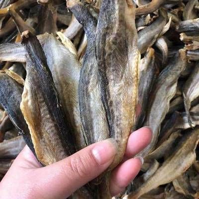 三亞龍魚批發(fā)市場在哪里有：三亞地區(qū)的龍魚批發(fā)市場位置 龍魚百科 第2張