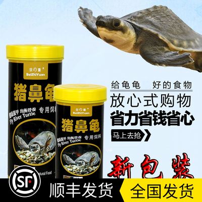 什么牌子的紅龍魚最好看：如何選擇紅龍魚的飼料