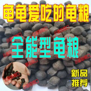 什么牌子的紅龍魚最好看：如何選擇紅龍魚的飼料 龍魚百科 第4張