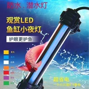 一方龍魚燈用哪個適合紅龍魚：如何選擇紅龍魚的燈光