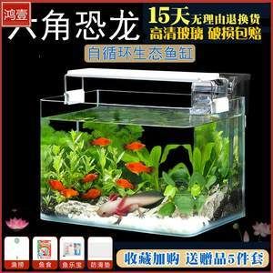 飼養(yǎng)龍魚用多大的缸好：飼養(yǎng)龍魚的魚缸尺寸應(yīng)該根據(jù)龍魚的種類和年齡來確定 龍魚百科 第2張