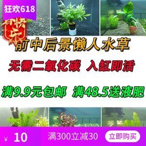 能和龍魚混養(yǎng)的群游魚類：如何選擇與龍魚混養(yǎng)的群游魚類？