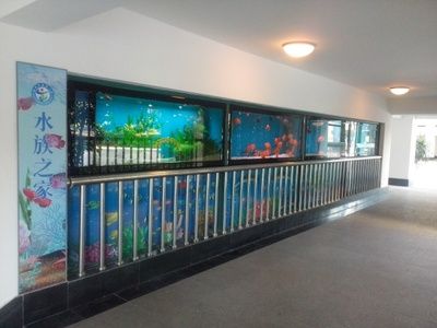 水族主題相關批發(fā)：水族批發(fā)市場有哪些？ 龍魚百科 第4張