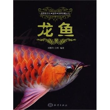 什么品牌龍魚好：哪些品牌龍魚比較好 龍魚百科 第2張