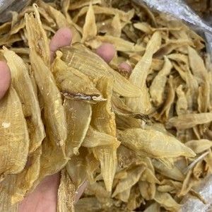 小金龍魚膠怎么泡：小金龍魚膠怎么泡發(fā) 龍魚百科 第3張