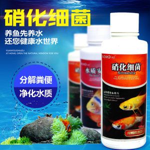 龍魚只要配什么過濾材料好：養(yǎng)龍魚時選擇過濾材料是非常重要的