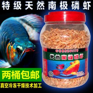 怎樣才能讓龍魚改吃飼料喂食：如何訓(xùn)練龍魚吃食物 龍魚百科 第2張