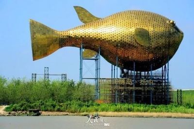 泰興金龍魚：泰興金龍魚是什么？ 龍魚百科 第3張