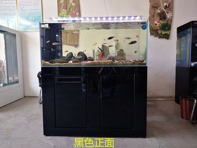 鑫德龍魚缸：保定鑫德龍魚缸的優(yōu)勢(shì) 龍魚百科 第3張