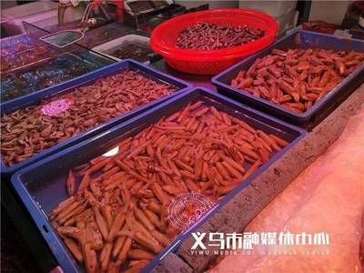 水龍魚價格：影響水龍魚價格的因素