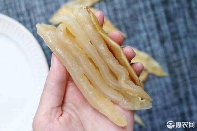 小金龍魚膠好嗎：小金龍魚膠有哪些功效和作用？