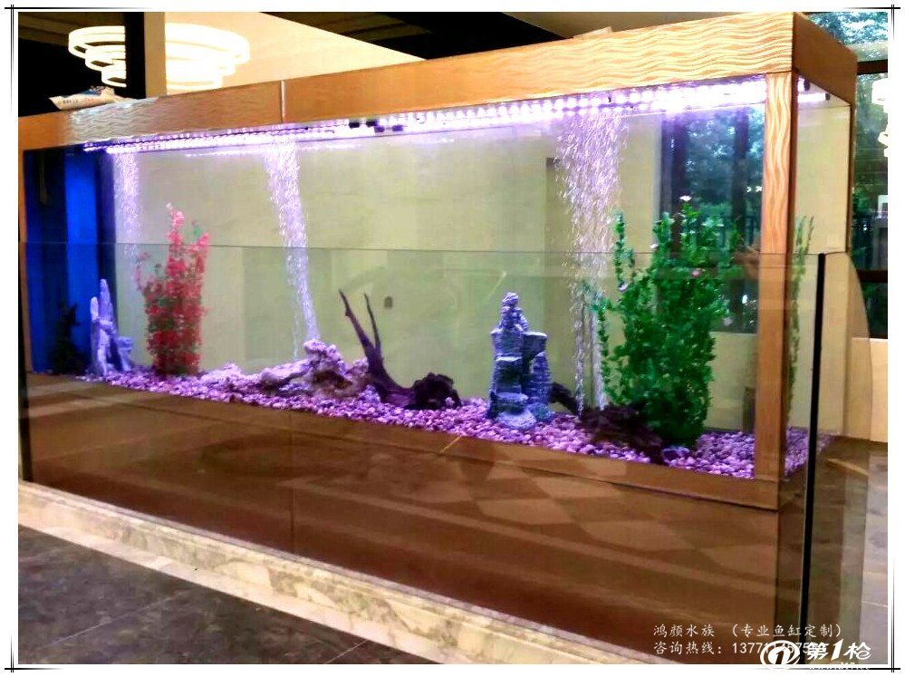 龍魚缸能造景嗎：杭州萬龍魚缸設計龍魚缸造景