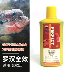 龍魚(yú)用什么麻藥消毒好：龍魚(yú)手術(shù)中常用的麻藥和消毒劑是一種常用的消毒藥物 龍魚(yú)百科 第1張