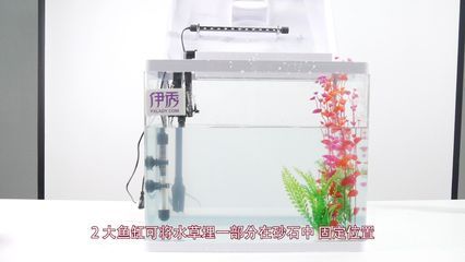 800450450魚(yú)缸多重：800/450/450魚(yú)缸的重量大約是405千克 魚(yú)缸百科 第4張