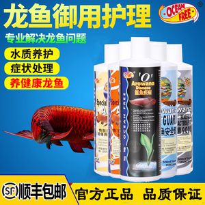 龍魚鱗片潰爛怎么治療好：龍魚鱗片潰爛怎么辦