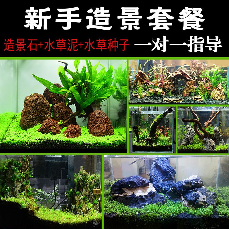 2.4米魚(yú)缸用什么過(guò)濾器好：2.4米大型魚(yú)缸推薦使用底濾、濾筒或外掛式過(guò)濾器 魚(yú)缸百科 第1張