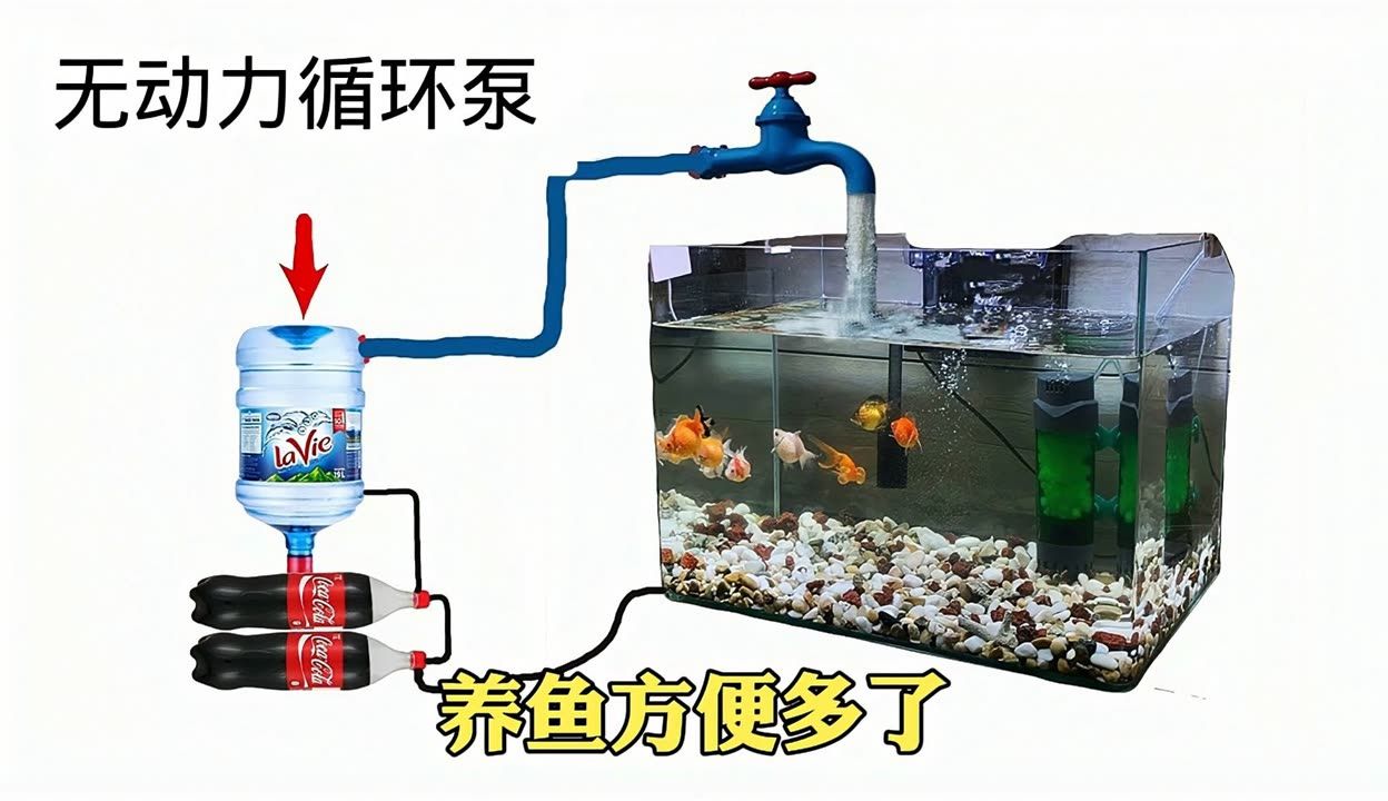 5升礦泉水瓶做魚缸做法：使用礦泉水瓶制作魚缸的幾種方法