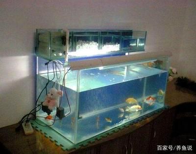 3.6米魚缸制作視頻：3.6米定制南美缸造景全記錄如何自己制作魚缸 魚缸百科 第1張