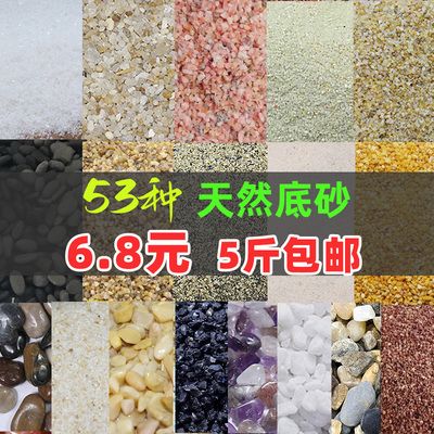 40魚缸造景圖片：40魚缸造景圖片分享 魚缸百科 第2張