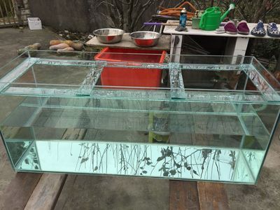 60的魚缸6毫米玻璃用拉筋嗎：如何確定魚缸是否需要加拉筋 魚缸百科 第1張