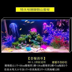 30厘米的魚缸造景多少錢：30厘米魚缸造景價(jià)格