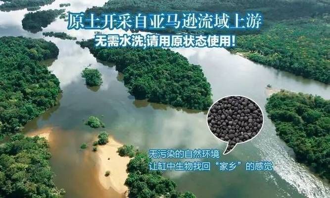 60金魚缸要用多少水草泥？：一個長60cm、寬30cm的金魚缸種植水草泥鋪設(shè)建議